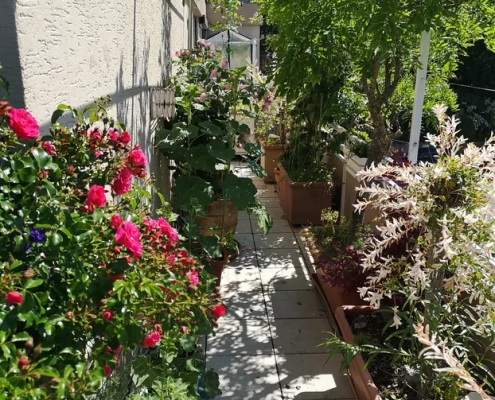 5f608d6c-2425-4374-9dca-98631a252a62-1531919262